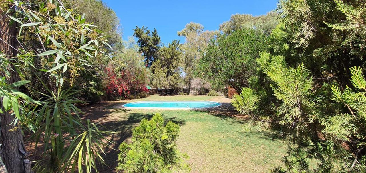 Welgeluk Feather Palace Oudtshoorn Exteriör bild